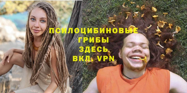 герыч Алексин