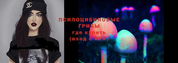 хмурый Алексеевка