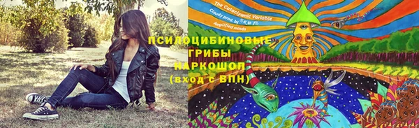хмурый Алексеевка