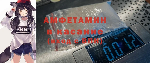индика Ростов