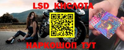 прущие грибы Комсомольск-на-Амуре