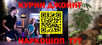 прущие грибы Комсомольск-на-Амуре