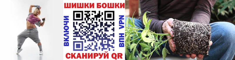 продажа наркотиков  Лесосибирск  мориарти какой сайт  Шишки марихуана индика 